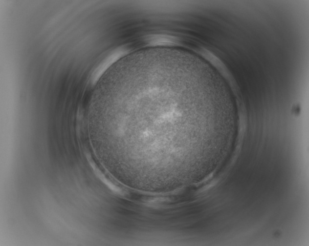 X0000113641337200910021907