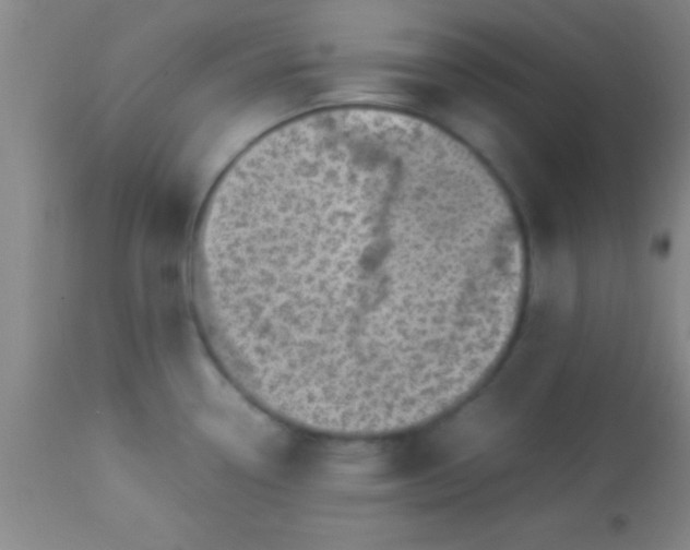 X0000113641338200910021907