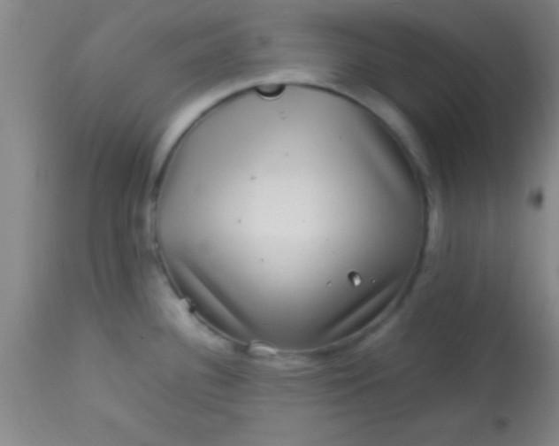 X0000113641340200910021907