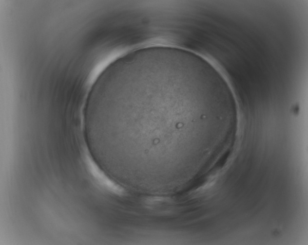 X0000113641341200910021907