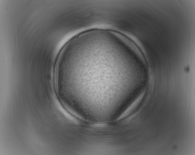 X0000113641343200910021907