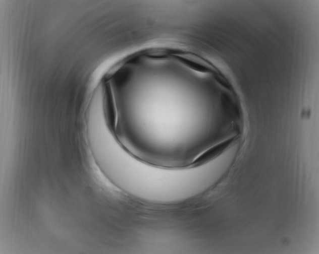 X0000113641344200910021907