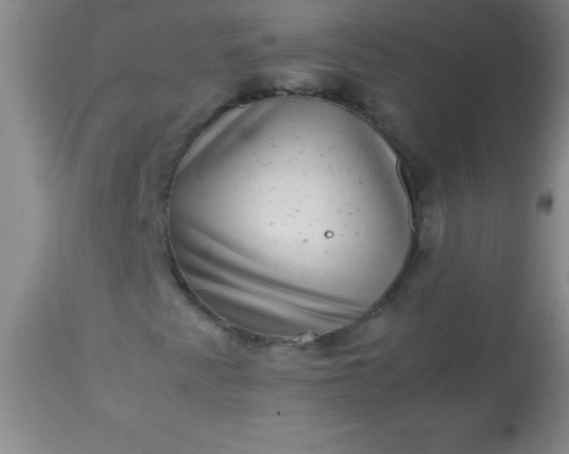 X0000113641345200910021906