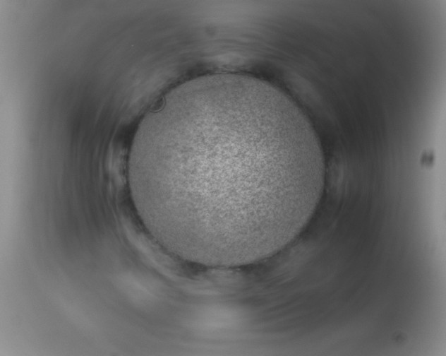 X0000113641346200910021906