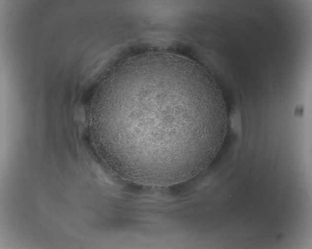 X0000113641347200910021906