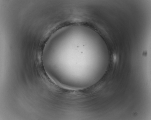 X0000113641348200910021906