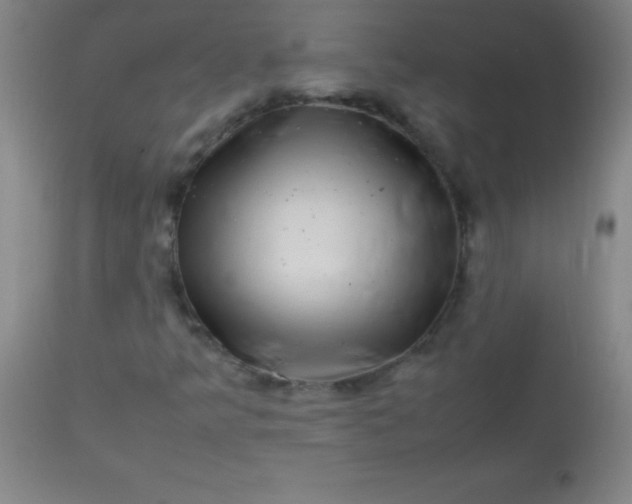 X0000113641349200910021906