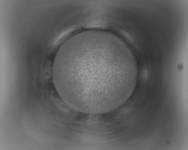 X0000113641350200910021906