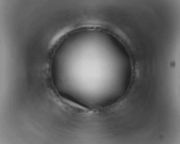 X0000113641352200910021906