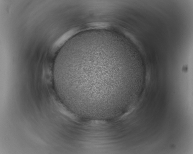 X0000113641354200910021906