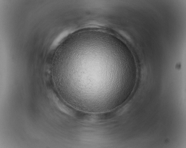 X0000113641355200910021906