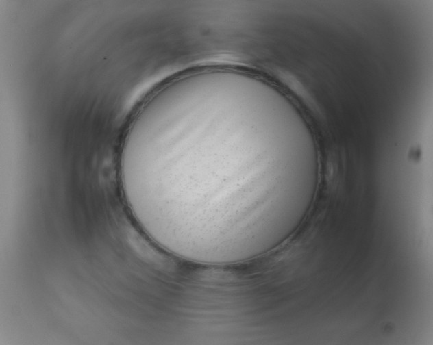 X0000113641356200910021906