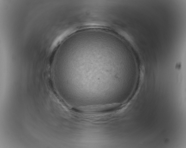 X0000113641357200910021906