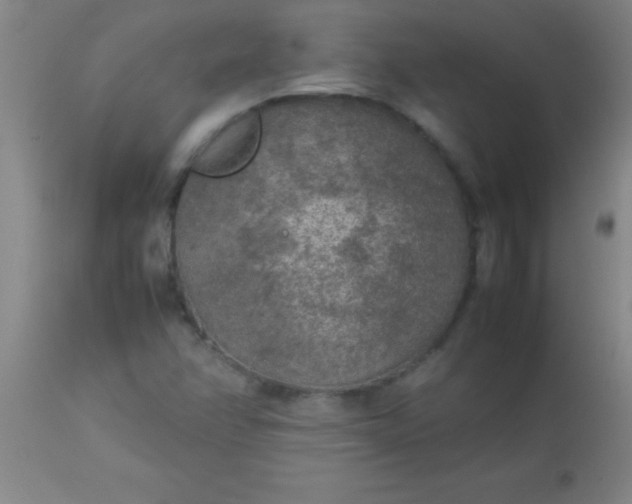 X0000113641358200910021906