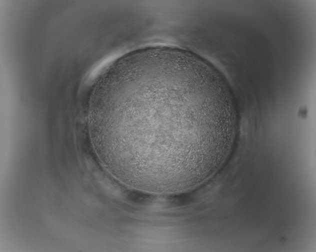 X0000113641359200910021906