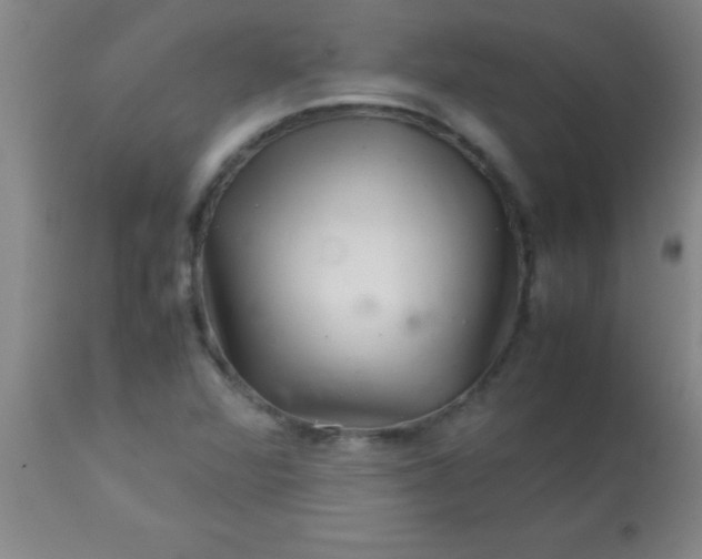 X0000113641360200910021906