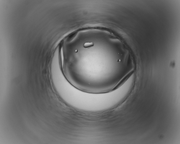 X0000113641361200910021906