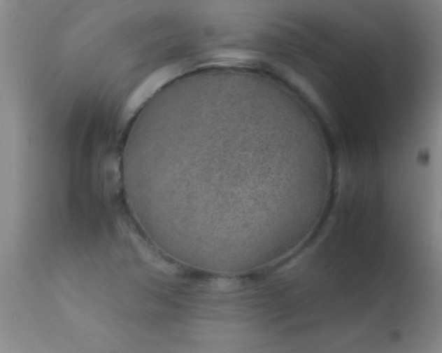 X0000113641362200910021906