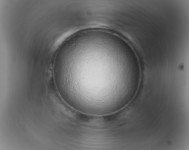 X0000113641363200910021906