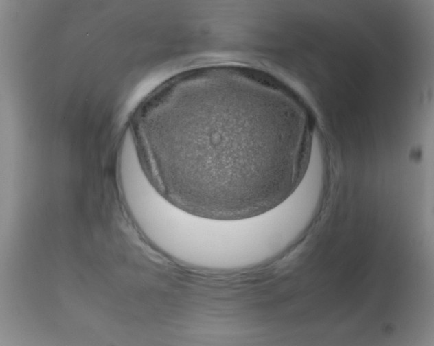 X0000113641365200910021906