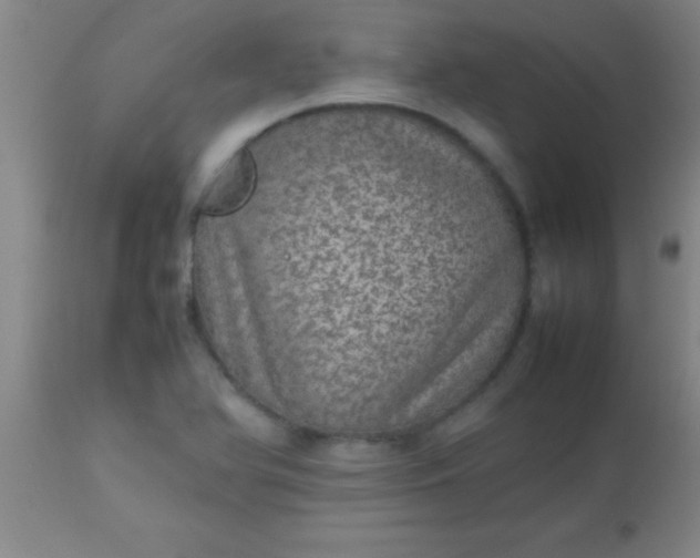 X0000113641366200910021906