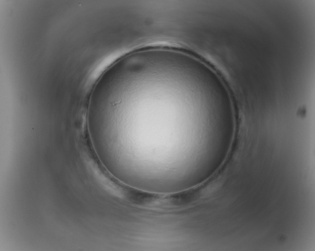 X0000113641367200910021906