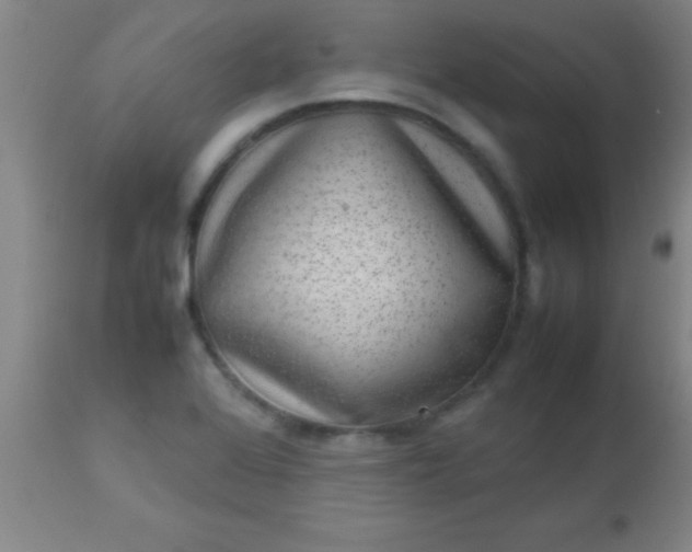 X0000113641368200910021906