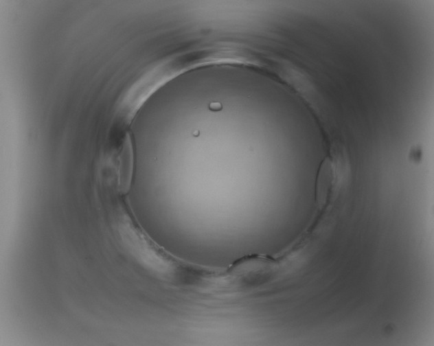 X0000113641369200910021906