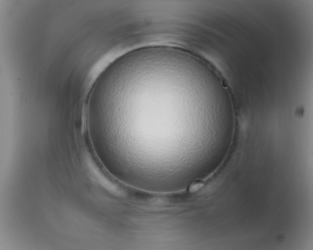 X0000113641371200910021906