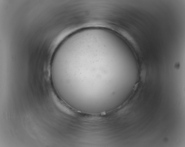 X0000113641372200910021906