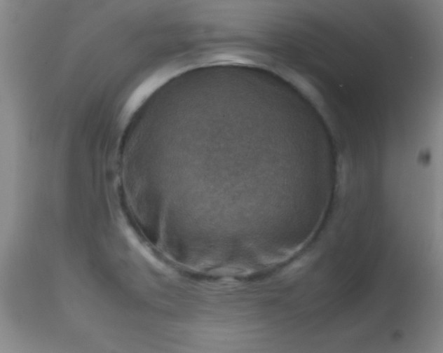 X0000113641373200910021906