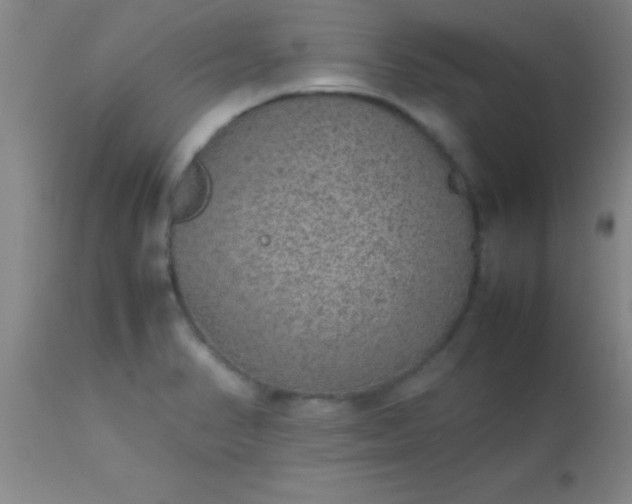 X0000113641374200910021906