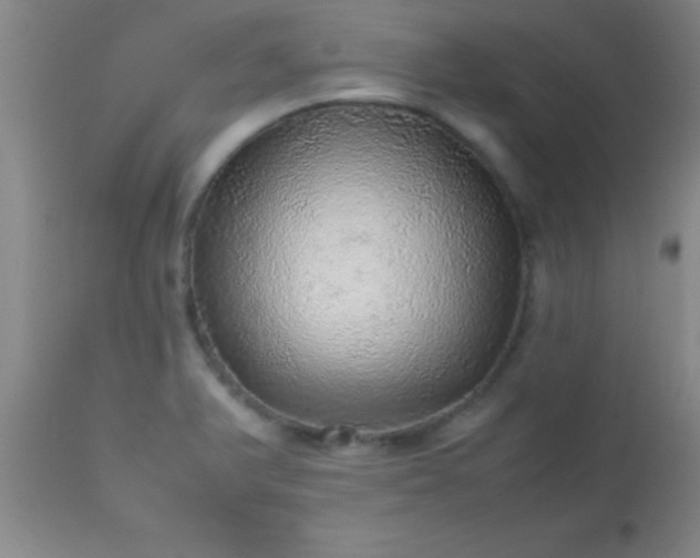 X0000113641375200910021906