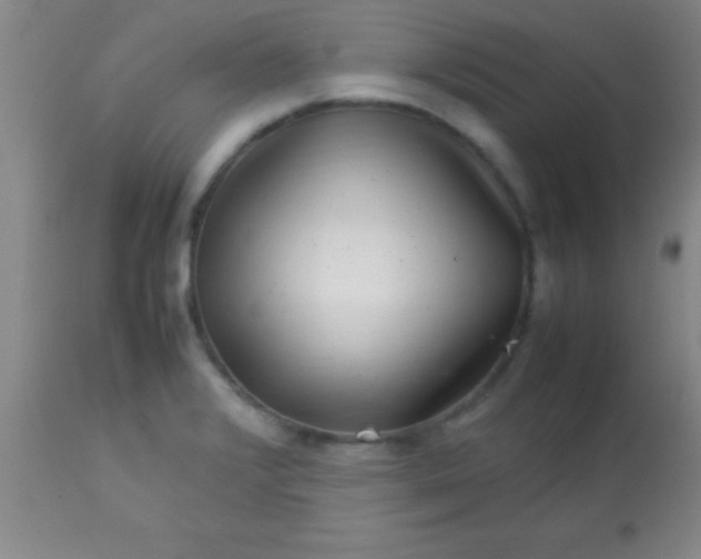 X0000113641376200910021906