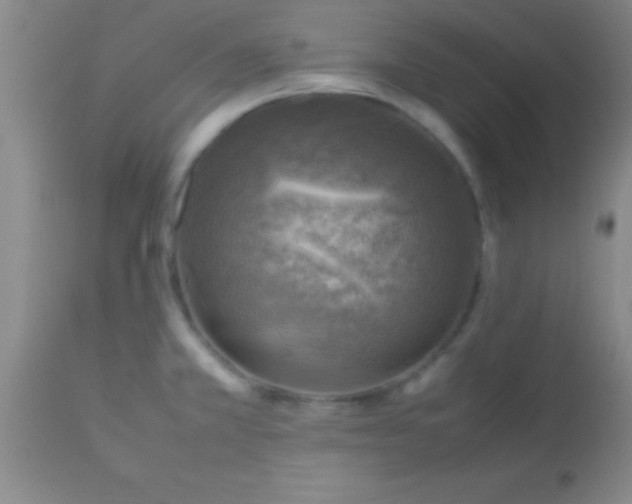 X0000113641381200910021906