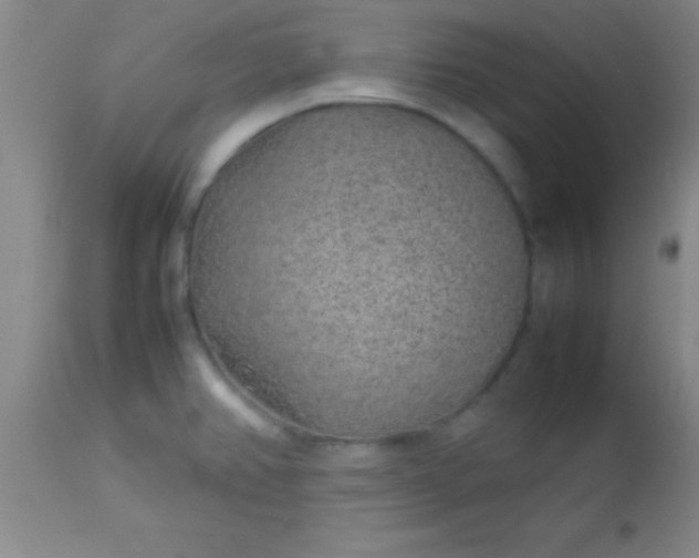 X0000113641382200910021906