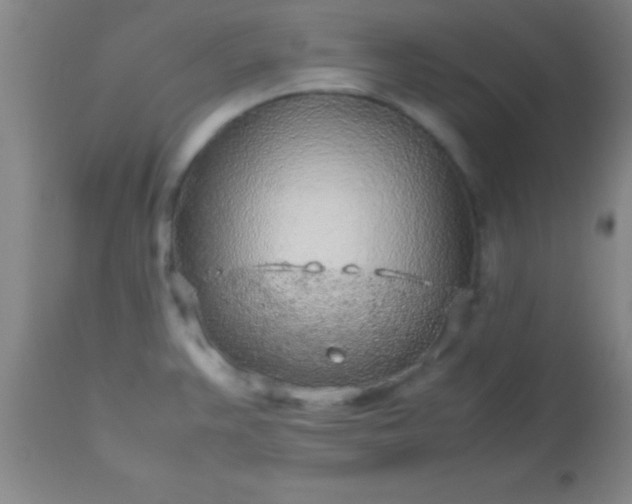 X0000113641383200910021906