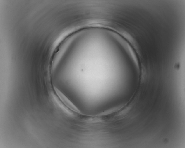 X0000113641384200910021906