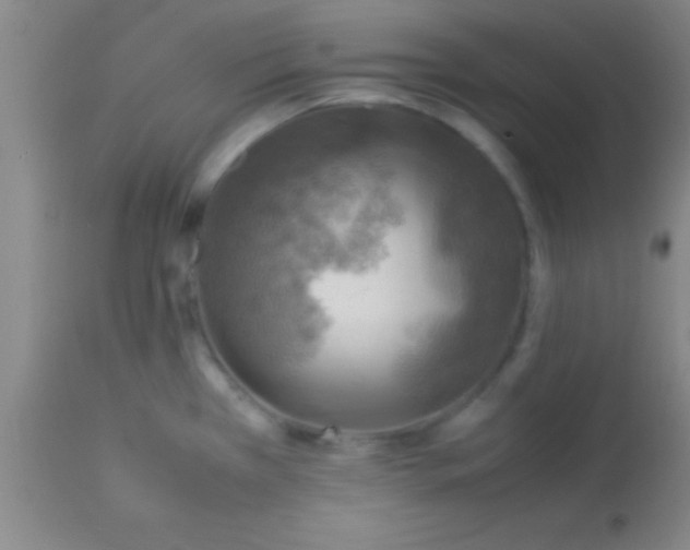 X0000113641385200910021906