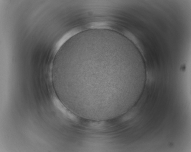 X0000113641386200910021906