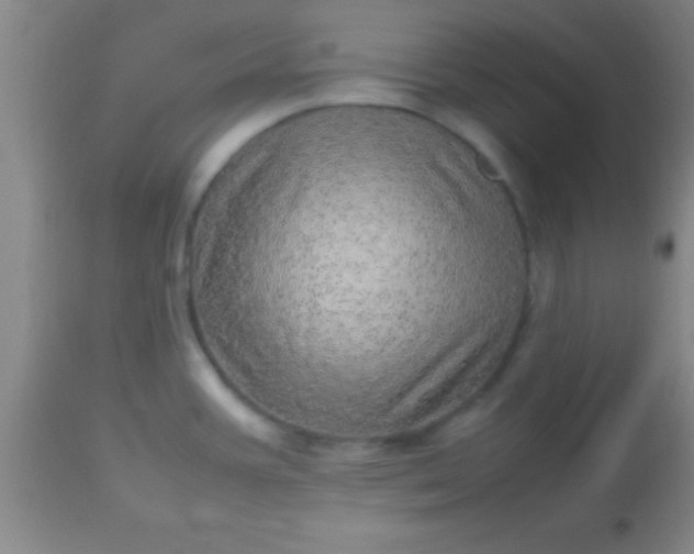 X0000113641387200910021906