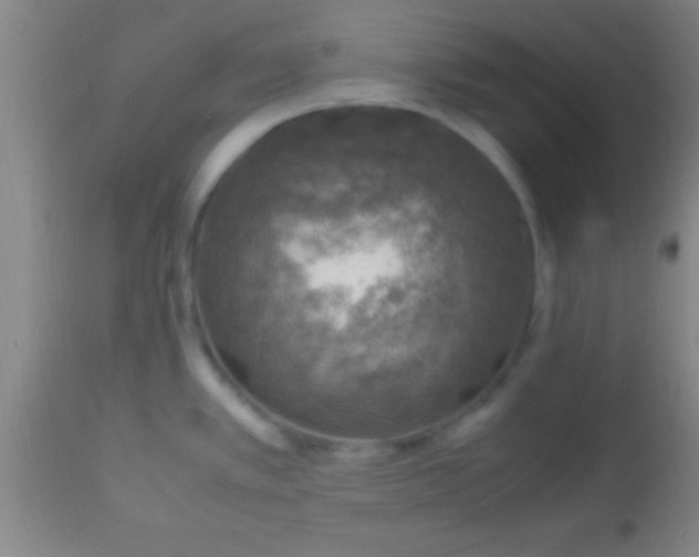 X0000113641389200910021906