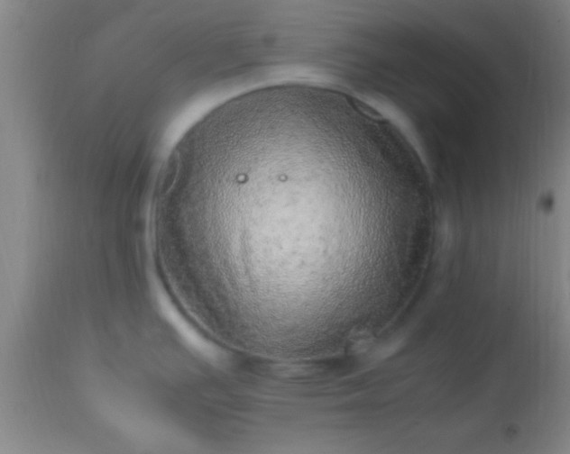 X0000113641391200910021906