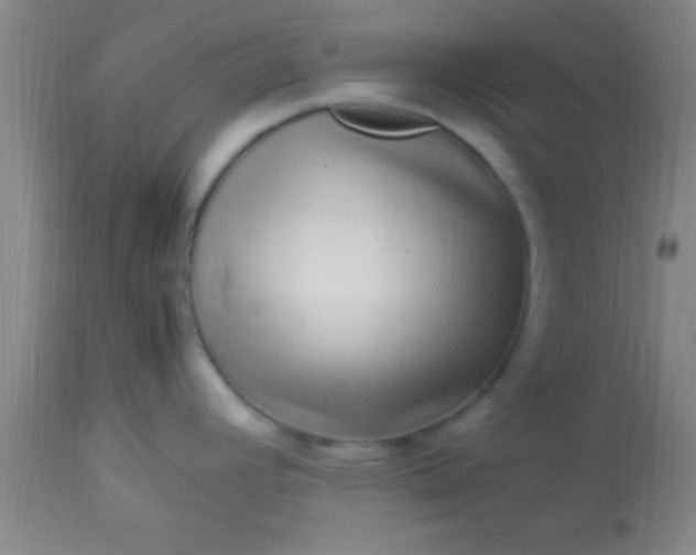 X0000113641392200910021906