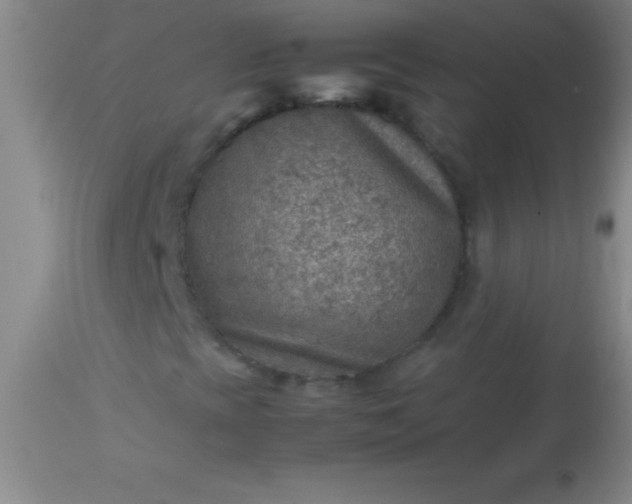 X0000113641393200910021905