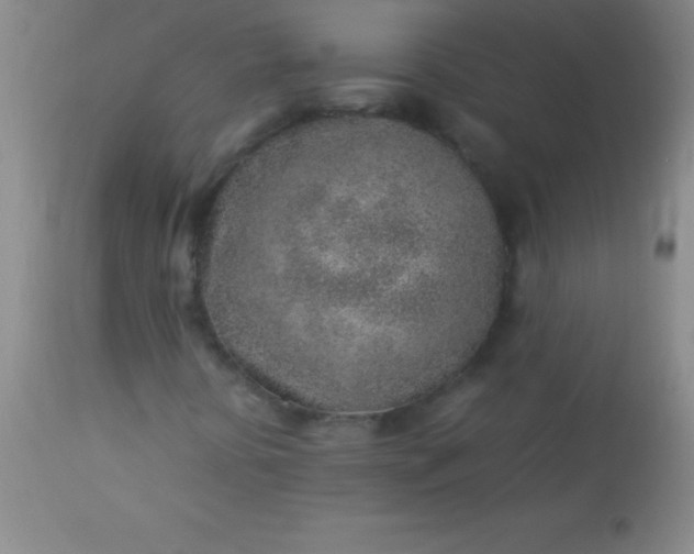 X0000113641394200910021905