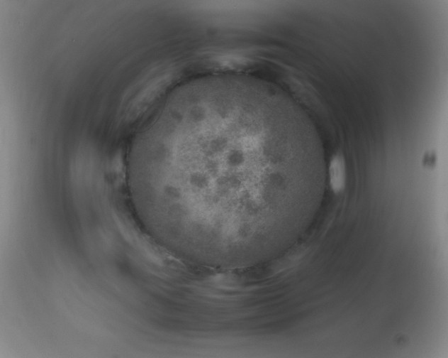 X0000113641395200910021905