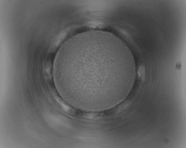 X0000113641396200910021905