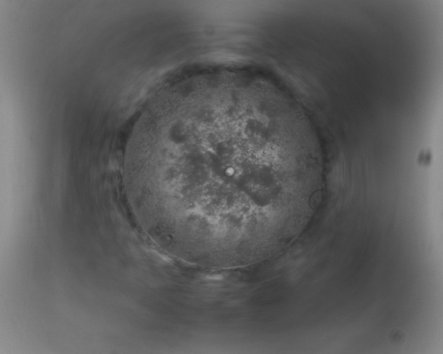 X0000113641397200910021905