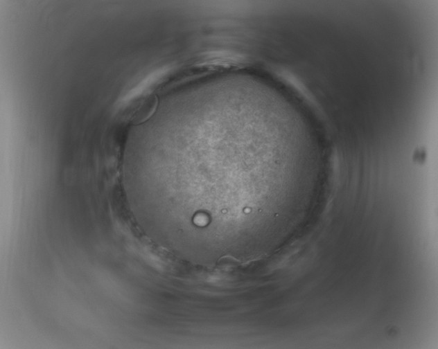 X0000113641399200910021905